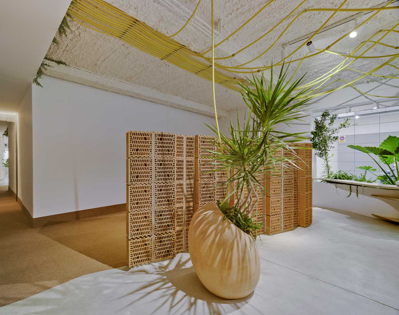 辦公空間,國外辦公設計,西班牙,WOHA by Antonio Maciá