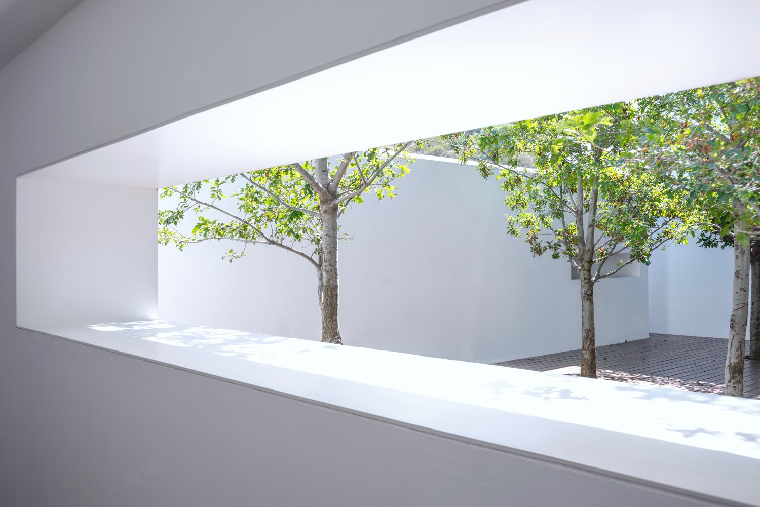 住宅空間,HW Studio Arquitectos,國外住宅設計,墨西哥,現代風格