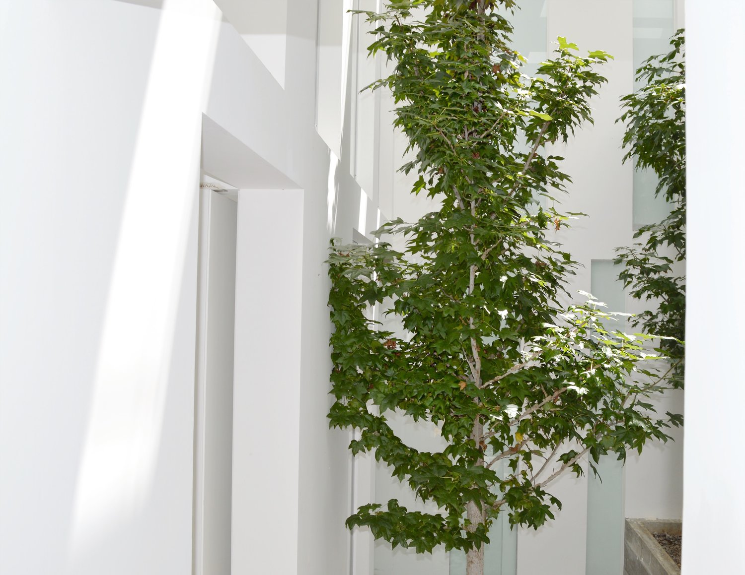 住宅空間,HW Studio Arquitectos,國外住宅設計,墨西哥,現代風格