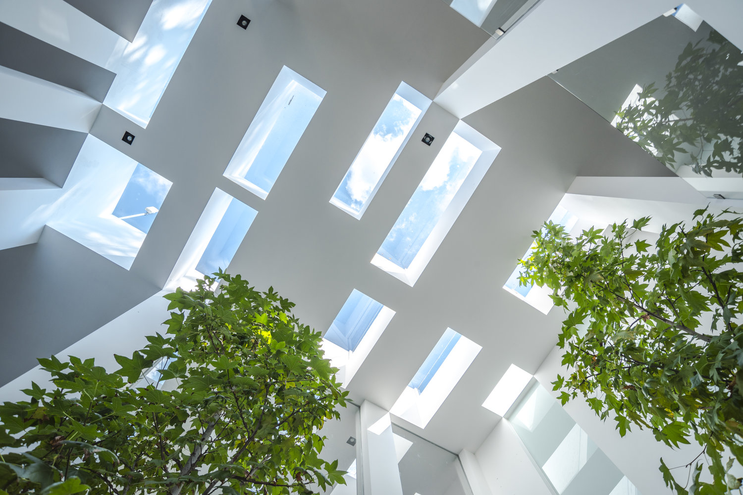 住宅空間,HW Studio Arquitectos,國外住宅設計,墨西哥,現代風格