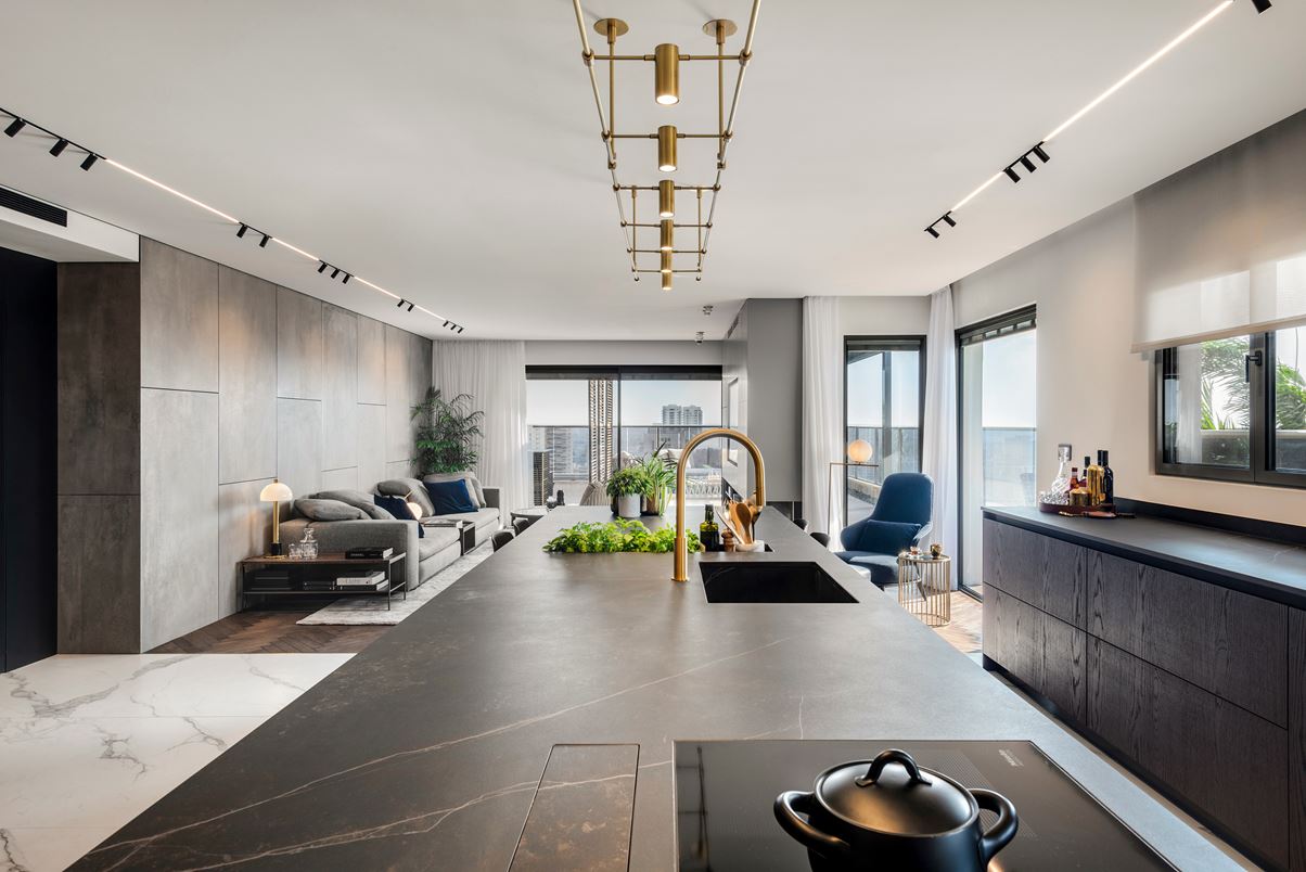 住宅空間,私人住宅,住宅設計,以色列,現代風格,頂層公寓