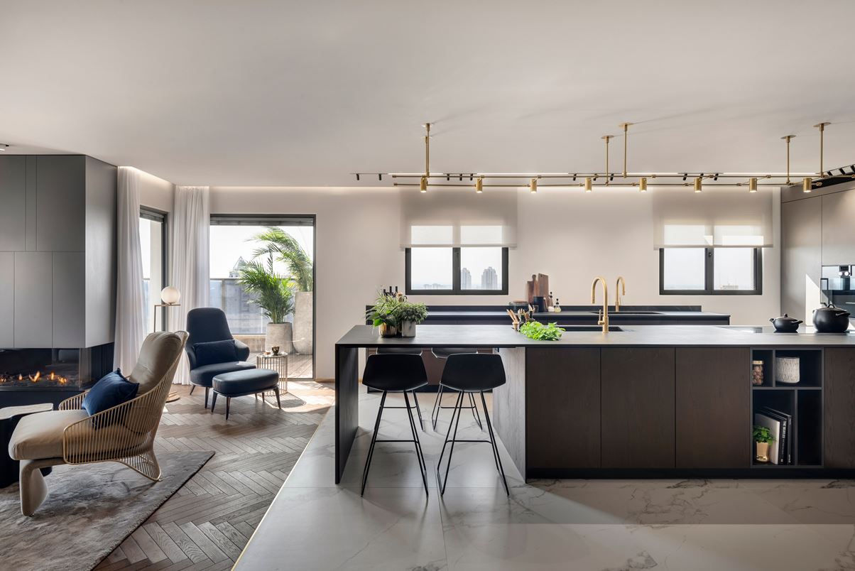 住宅空間,私人住宅,住宅設計,以色列,現代風格,頂層公寓