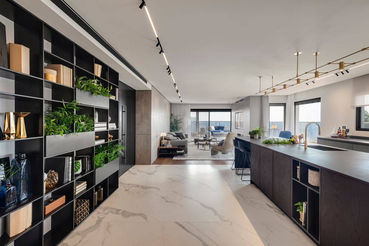 住宅空間,私人住宅,住宅設計,以色列,現代風格,頂層公寓