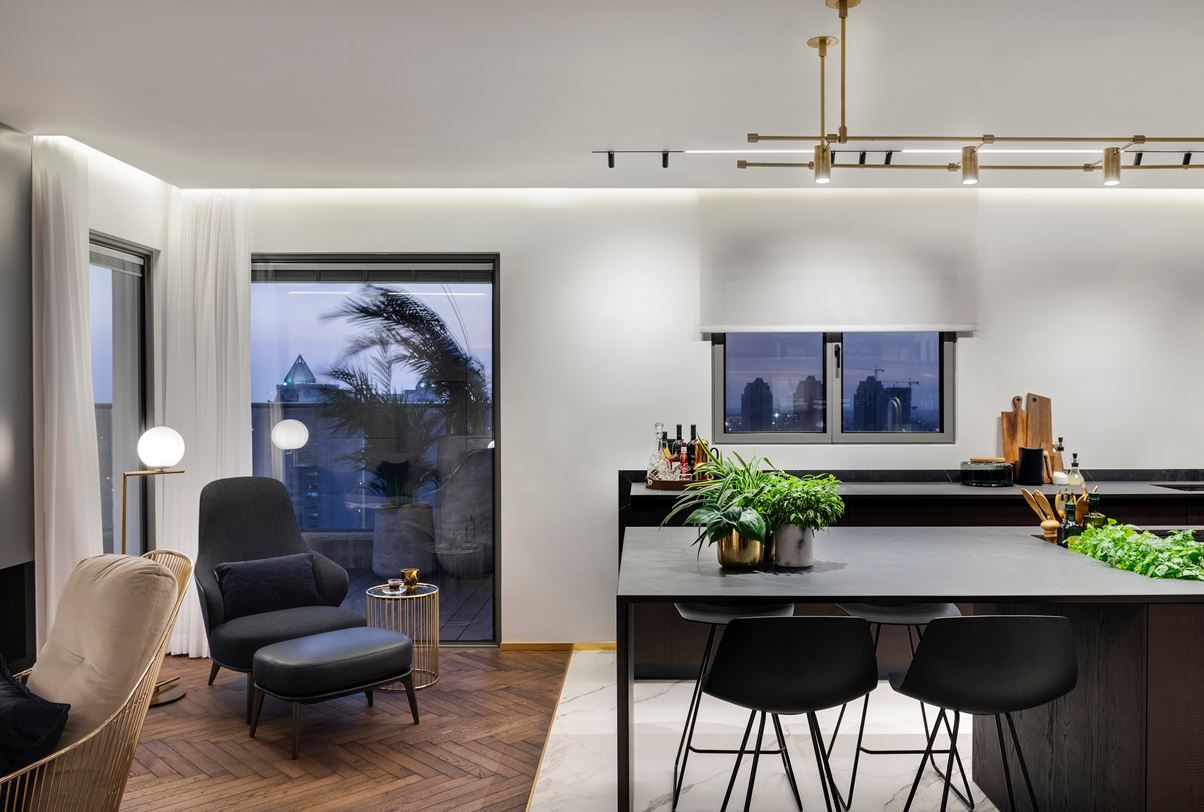 住宅空間,私人住宅,住宅設計,以色列,現代風格,頂層公寓