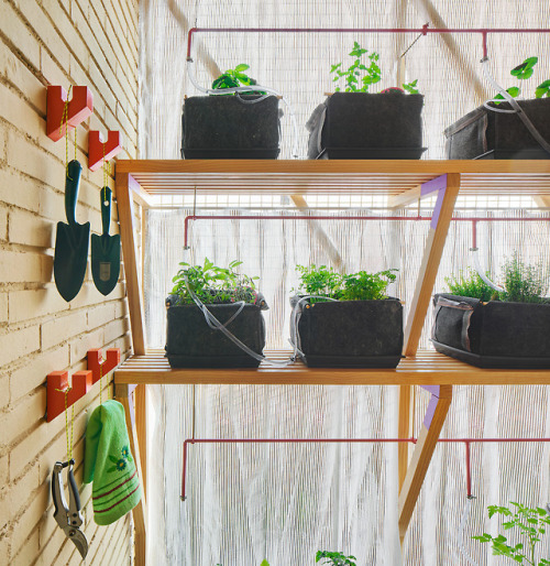 住宅空間,公寓改造,小戶型,46平米住宅設計,木質空間