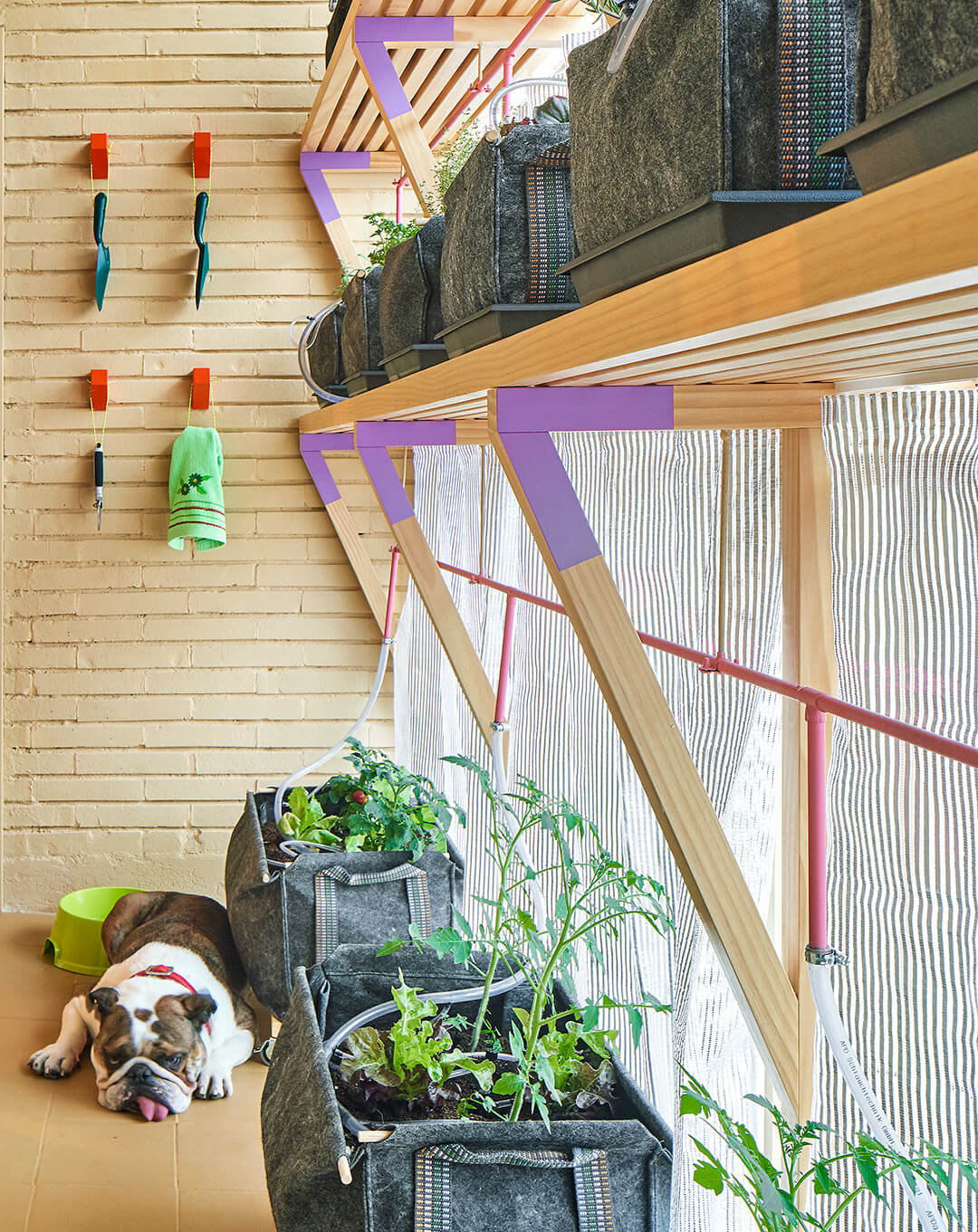 住宅空間,公寓改造,小戶型,46平米住宅設計,木質空間