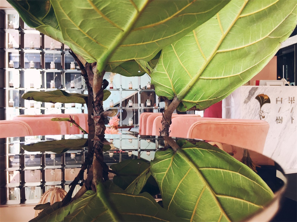 商業空間,診所醫館,成都,容德醫館,範創意