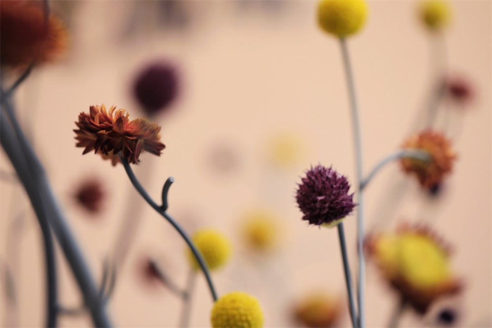 商業空間,診所醫館,成都,容德醫館,範創意