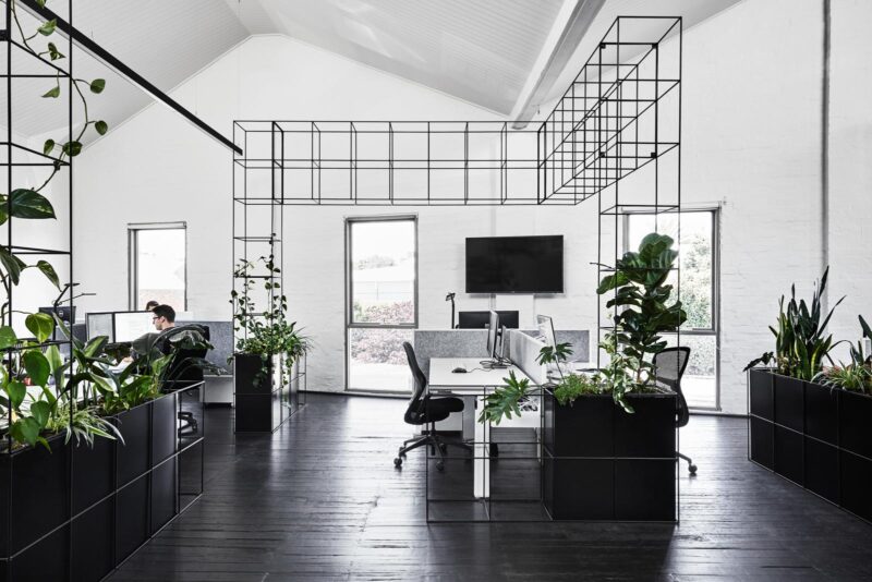 Tom Robertson | 墨爾本Candlefox生態辦公室