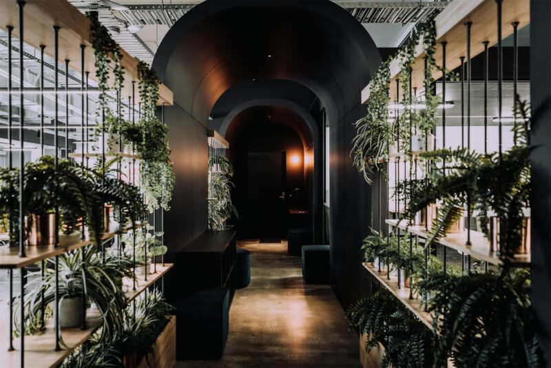 Corso | 澳大利亞CreativeCubesCo聯合辦公室