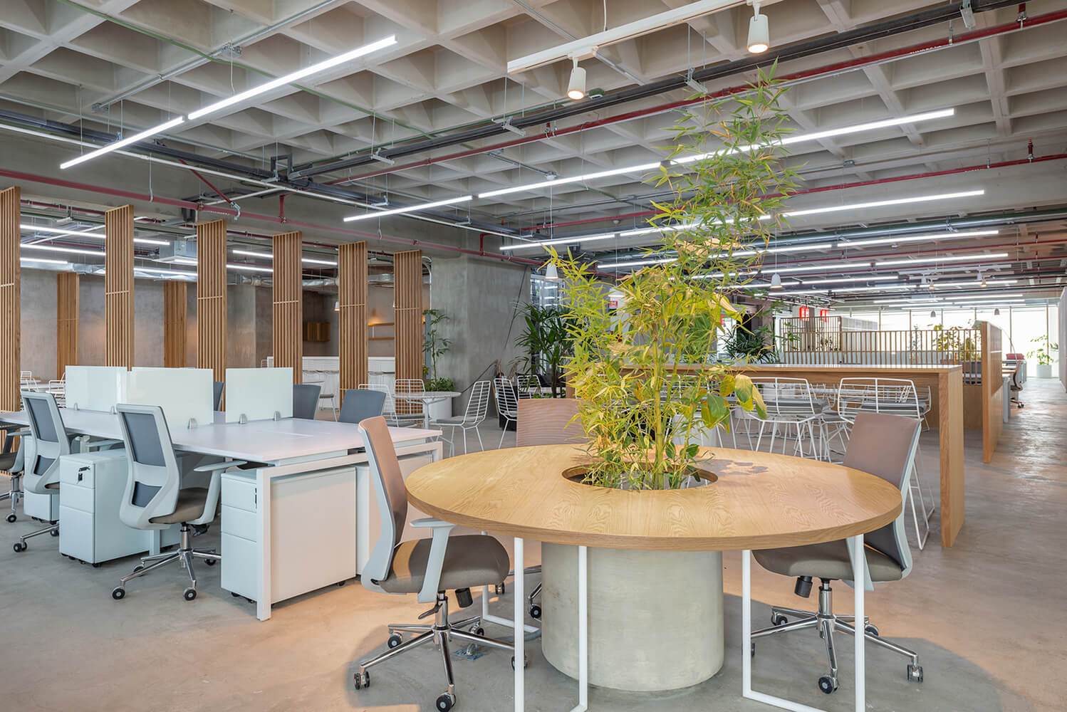 辦公空間,名創優品,辦公室,墨西哥