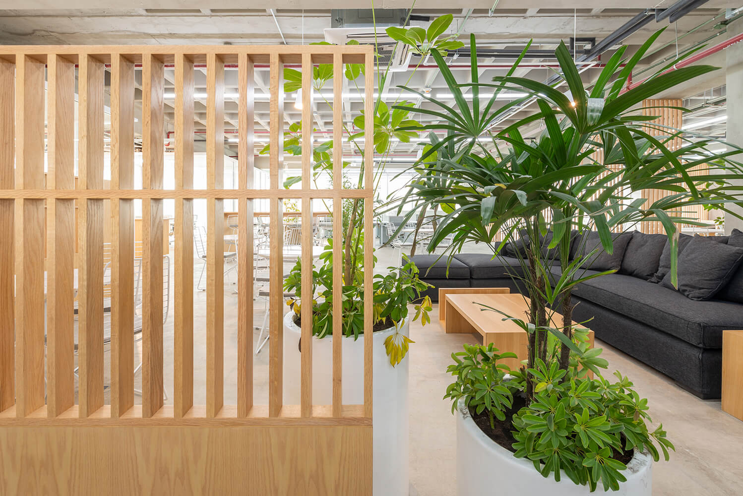 辦公空間,名創優品,辦公室,墨西哥