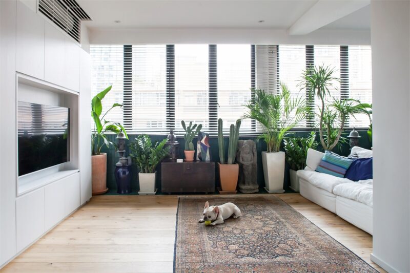 lim + lu | 香港某廢棄公寓改造寧靜綠洲