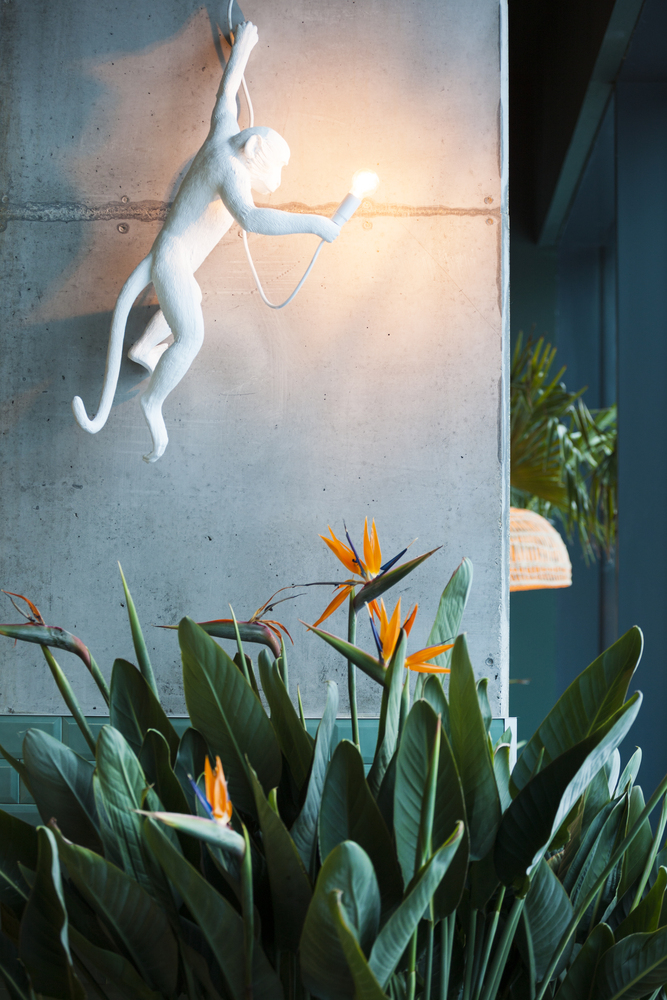 餐飲空間,國外餐廳設計,羅馬尼亞,Bogdan Ciocodeica,酒吧餐廳,美食工坊