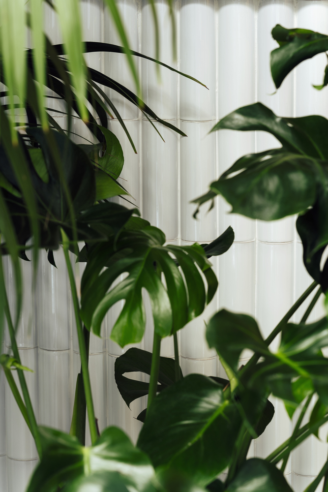 餐飲空間,國外餐廳設計,西班牙,餐廳,MESURA,Bunsen