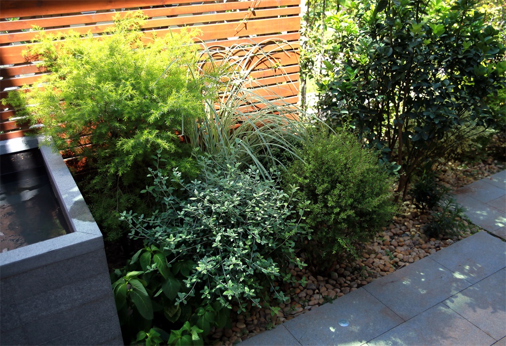 住宅空間,序態設計研究室,別墅設計,上海,項目投稿