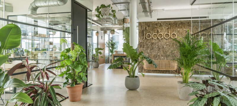 Peldon Rose | 倫敦Jacada Travel旅遊公司辦公室