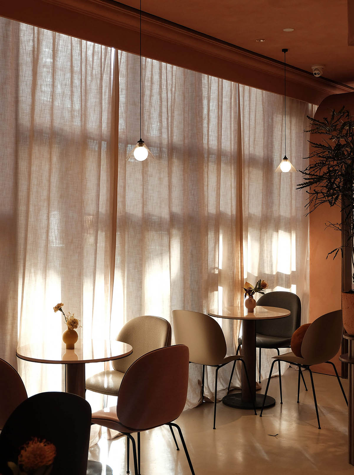 Sò Studio,野獸派北京三裏屯店,野獸派,北京三裏屯,BEAST + LITTLE B + Café