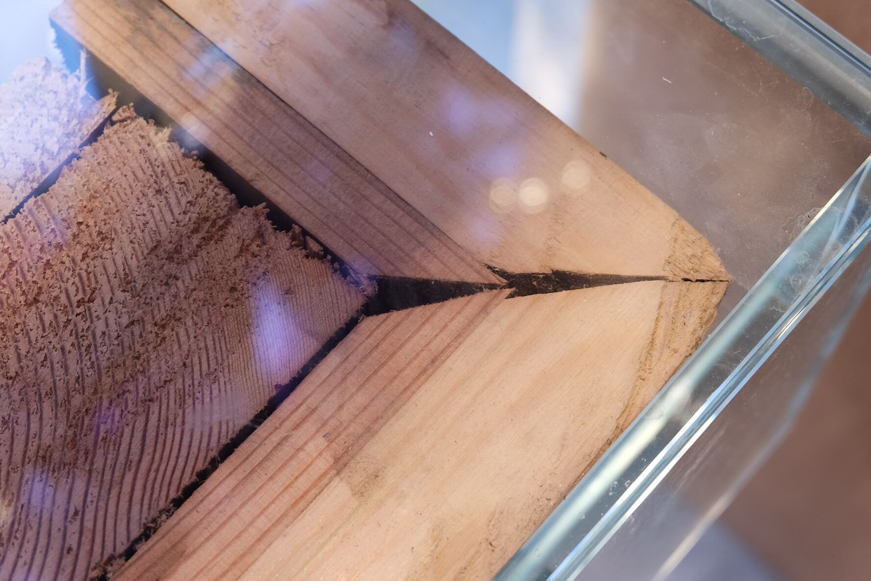 Sò Studio,野獸派北京三裏屯店,野獸派,北京三裏屯,BEAST + LITTLE B + Café