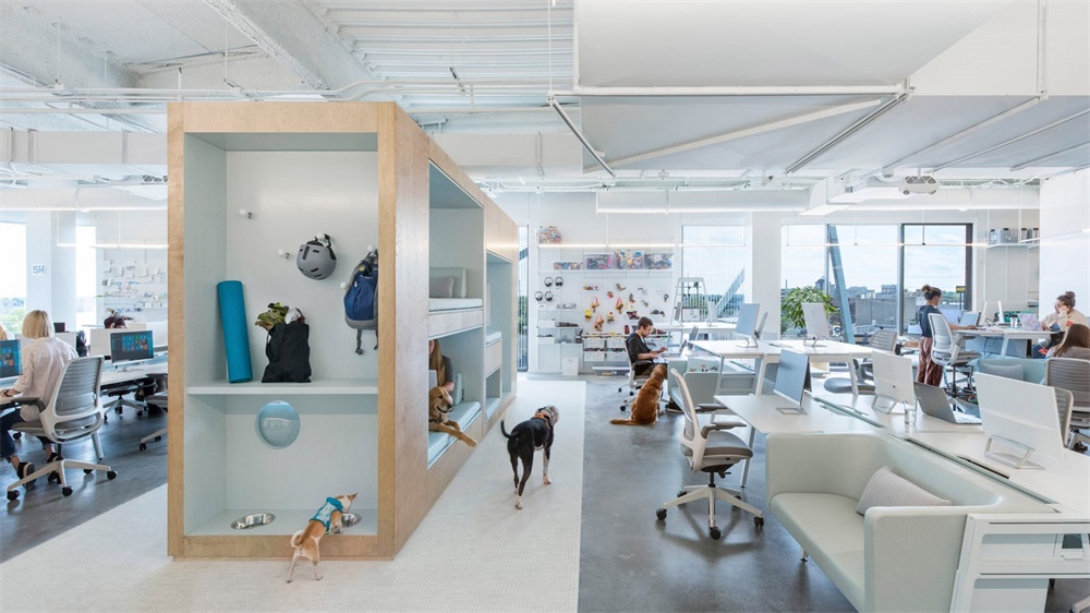 辦公空間，寵物公司辦公室，哥倫布，國外辦公空間設計，辦公室設計