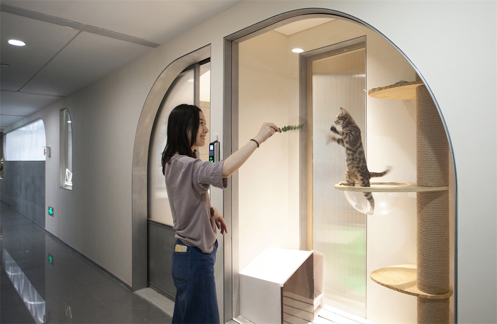 辦公空間,國內辦公室設計,事務所辦公室,設計師辦公室,項目投稿