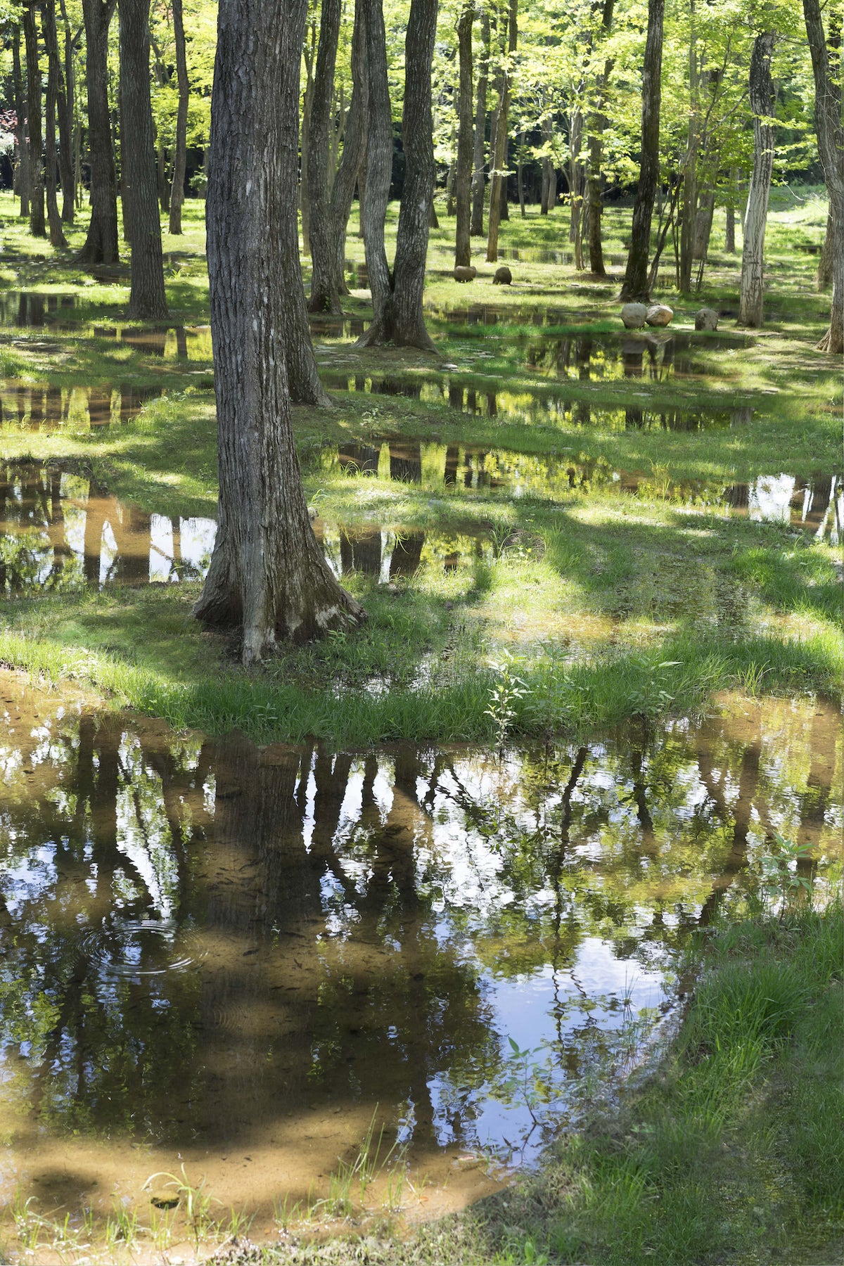 石上純也，日本栃木縣水上公園，建築邊界，junya.ishigami + associates ，石上純也設計