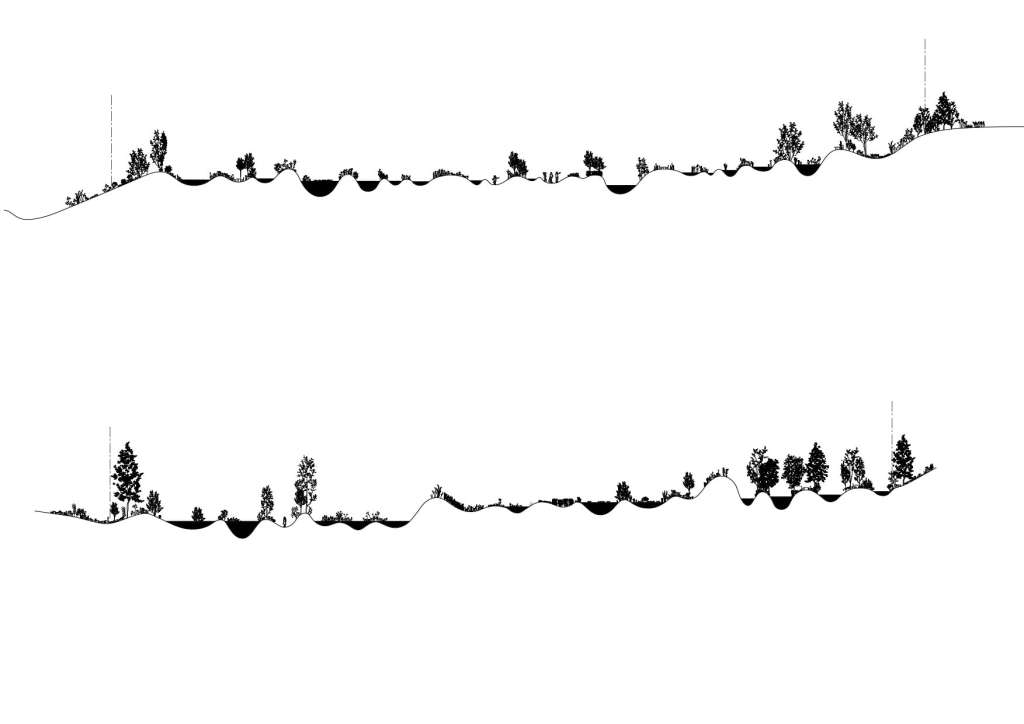 石上純也，日本栃木縣水上公園，建築邊界，junya.ishigami + associates ，石上純也設計