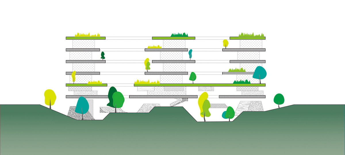 深圳紅嶺實驗小學，源計劃建築師事務所，源計劃，小學設計，教育空間設計