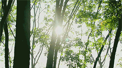 營銷中心,售樓處設計,項目投稿,壹方設計,沈陽