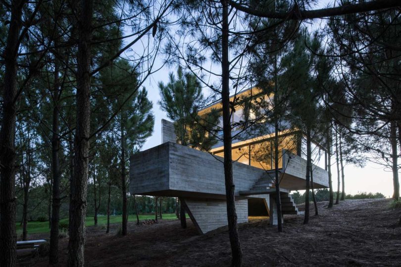 阿根廷，住宅設計，樹屋，私人住宅設計，建築設計，Luciano Kruk