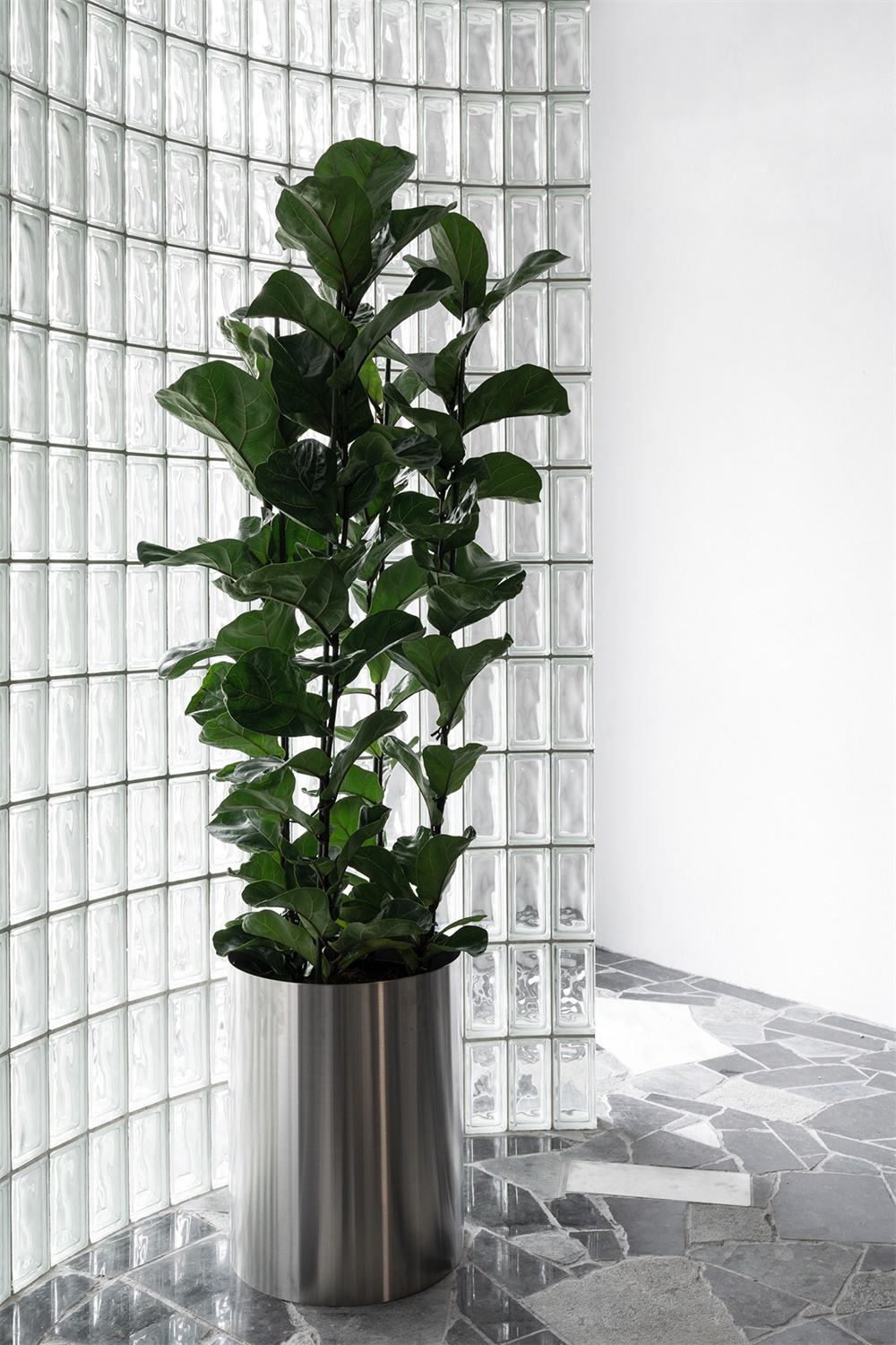 辦公空間,辦公室設計,臨時辦公室設計,80平方米辦公室設計,律所設計