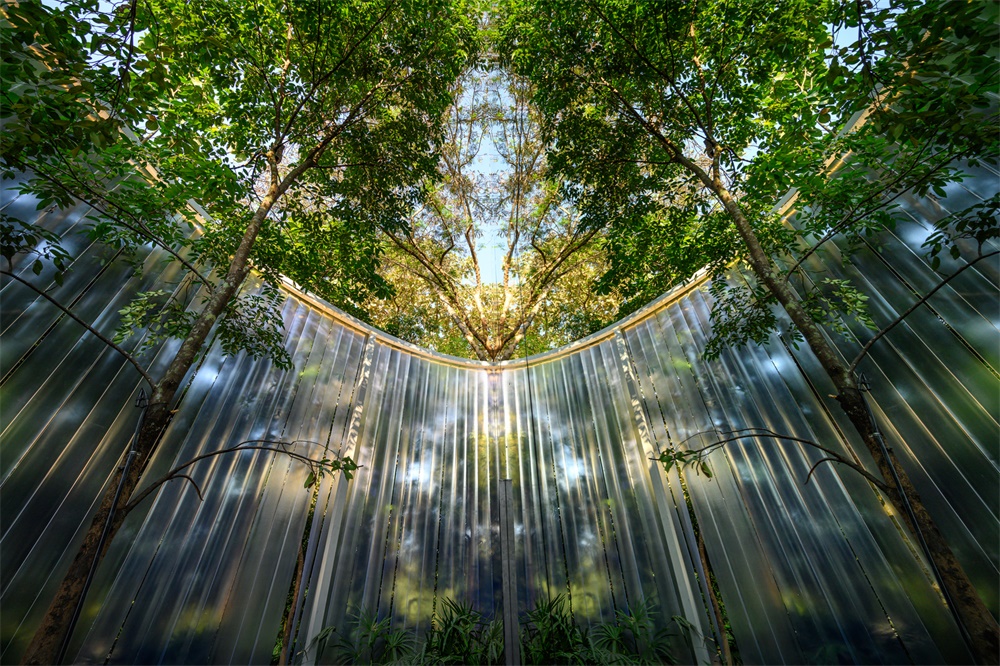 Sher Maker,Boonma咖啡店,泰國清邁,餐飲空間,咖啡店設計