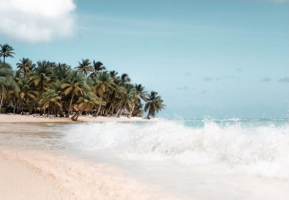 藝鼎設計,餐廳設計,椰子雞餐廳設計,火鍋餐廳,廣州,特色餐廳設計,椰客·YECO