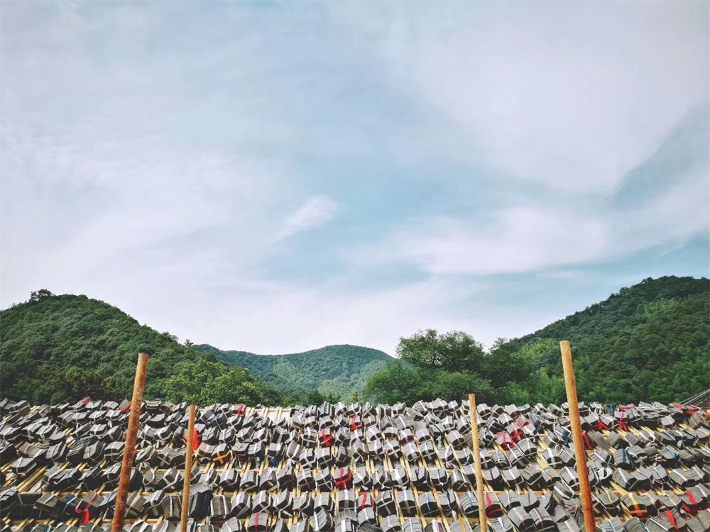 鄉村建築設計，予舍予築，百年老宅改造設計，安生齋居，民宿兼自宅，項目投稿