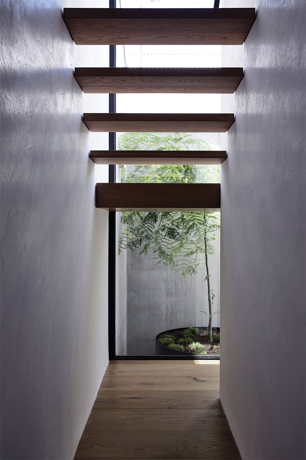 住宅空間,極簡主義,墨爾本,五口之家,Kennon+ studio,Scandizzo House