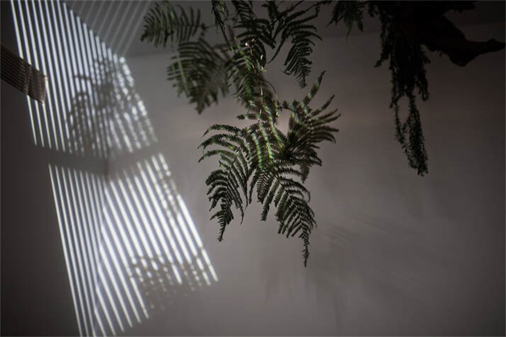 商業空間,理發店設計,個性理發店設計,台灣設計,時尚造型店設計,生活起物,googoods design