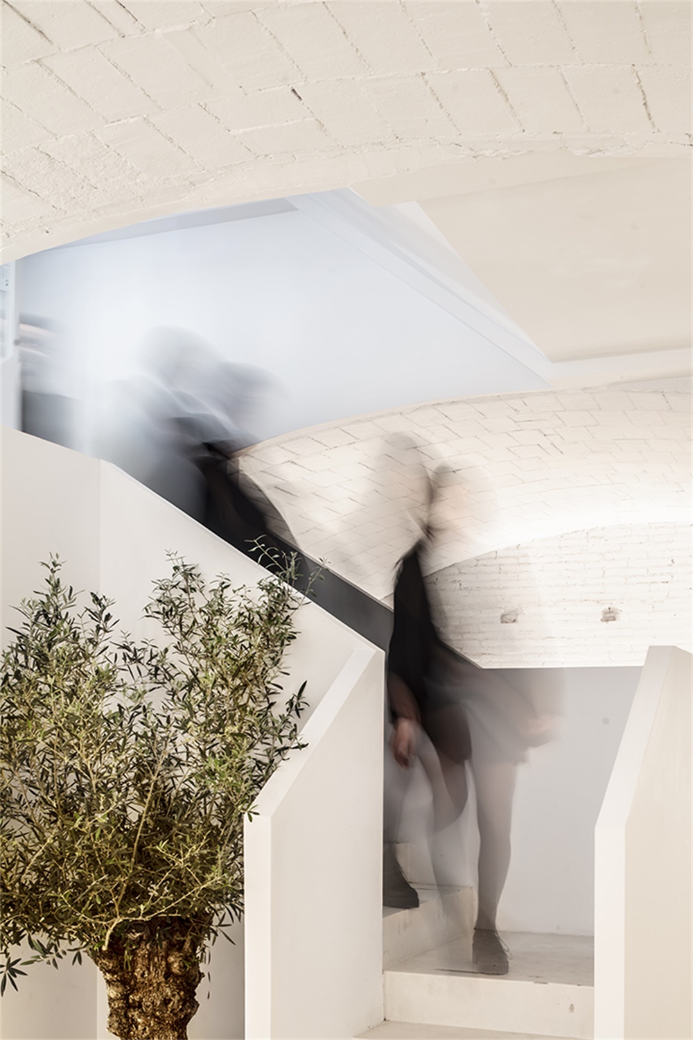 商業空間,辦公零售空間,零售店設計,Jofre Roca Arquitectes,香水品牌總部設計,巴塞羅那,Carner