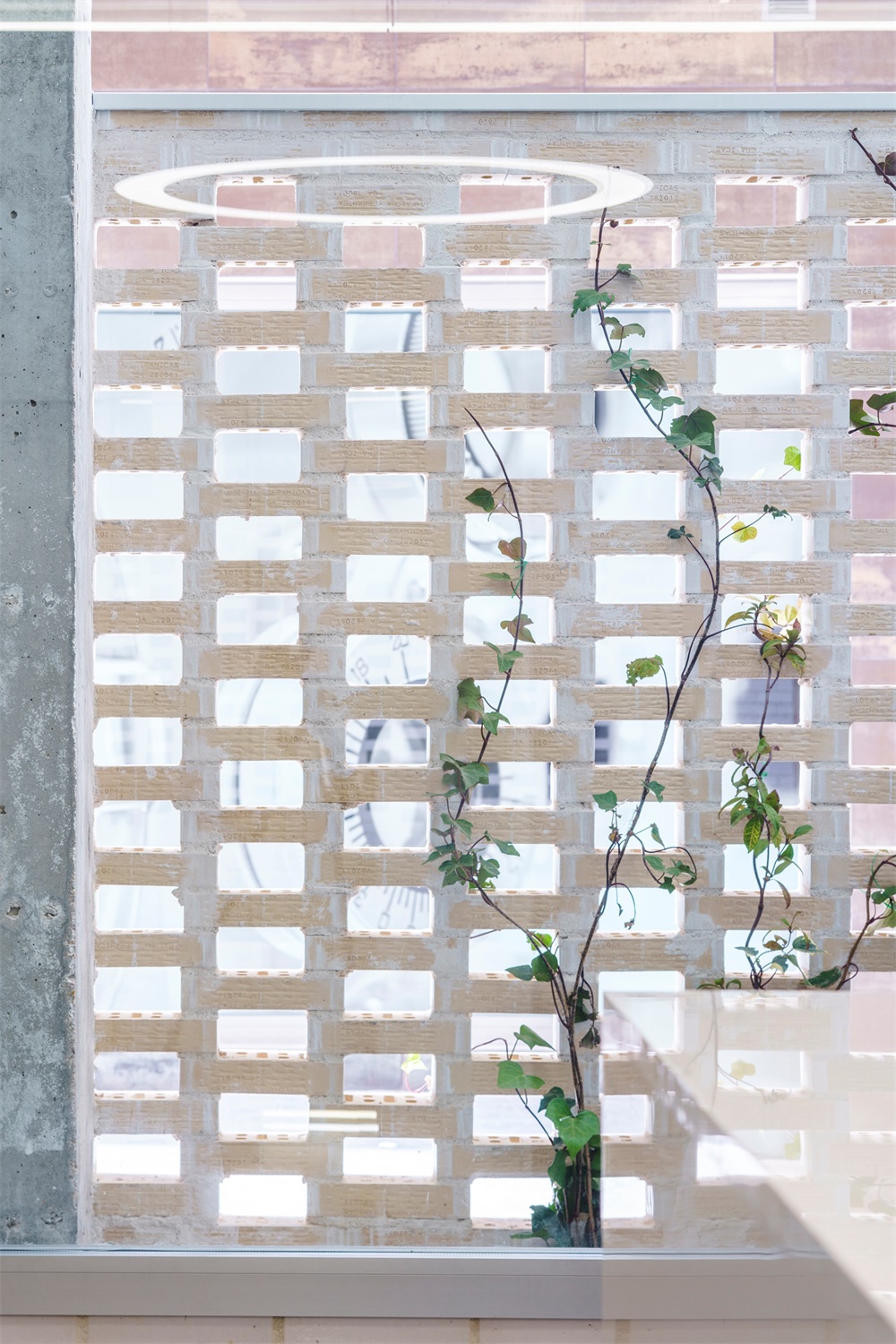 商業空間,牙科診所,診所設計,西班牙,Estudio Bher Arquitectos