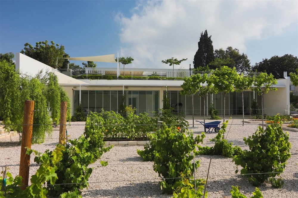 住宅空間,私人住宅設計,現代住宅設計,可持續住宅設計,獨立住宅