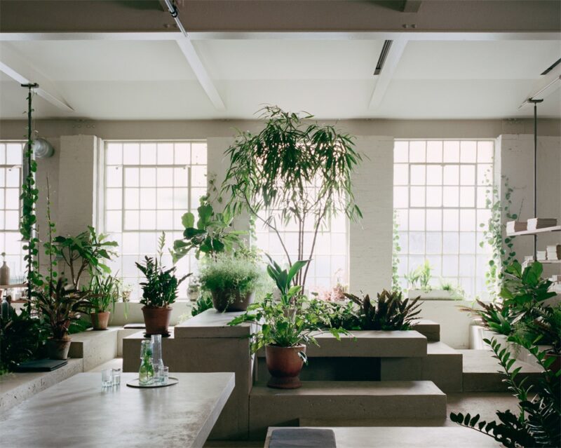 JamesPlumb | 倫敦PSLab照明總部