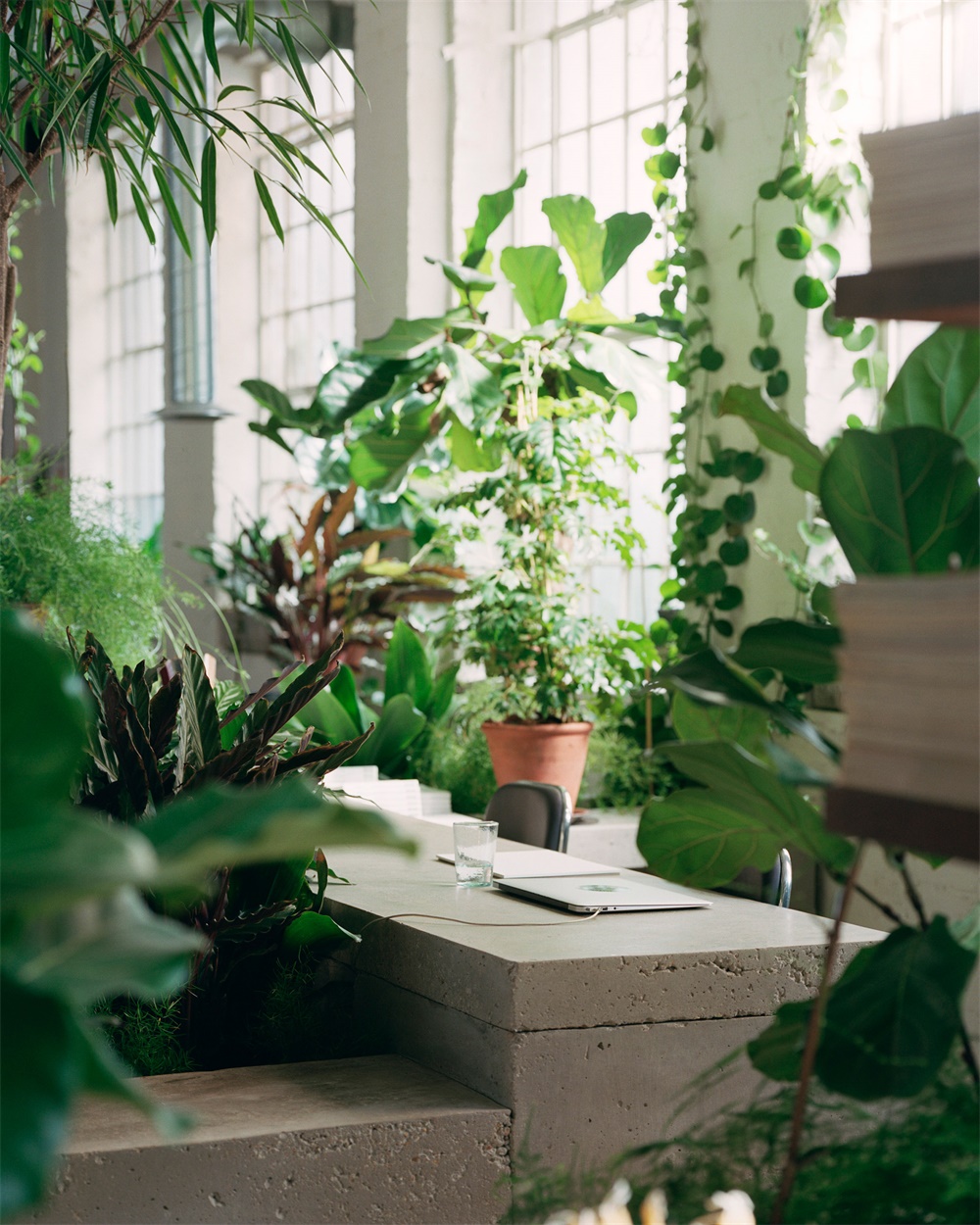 辦公空間，廠房改造，工業風辦公室，倫敦，照明品牌辦公室，PSLab照明