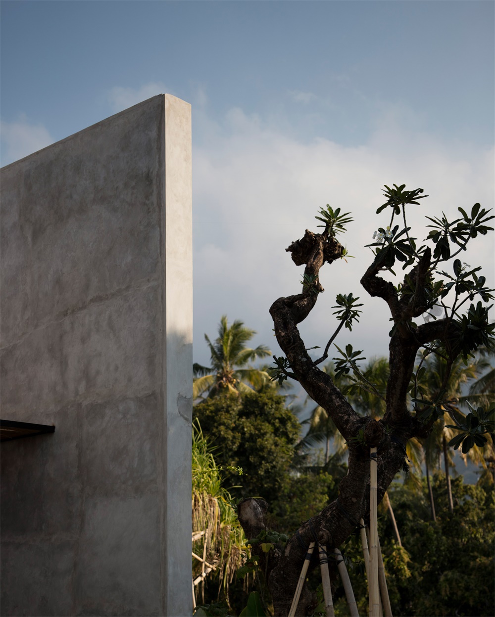 巴厘島酒店設計，度假酒店，設計酒店，精品酒店，Nic Brunsdon，Bali