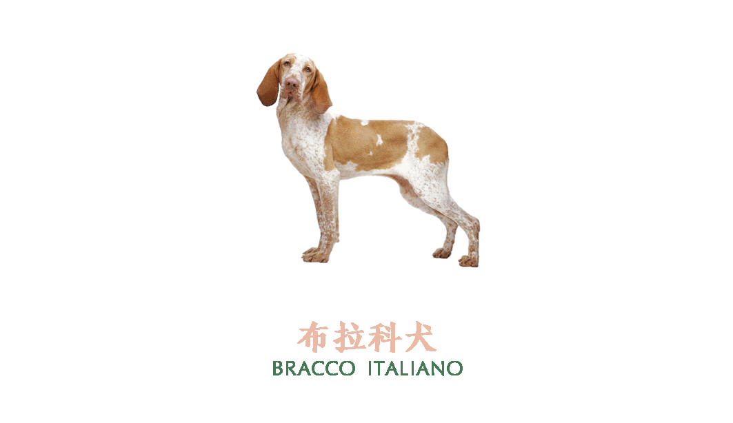 餐飲空間，甜品店設計，上海LENTOSCANA，尋長設計，甜品品牌空間，項目投稿