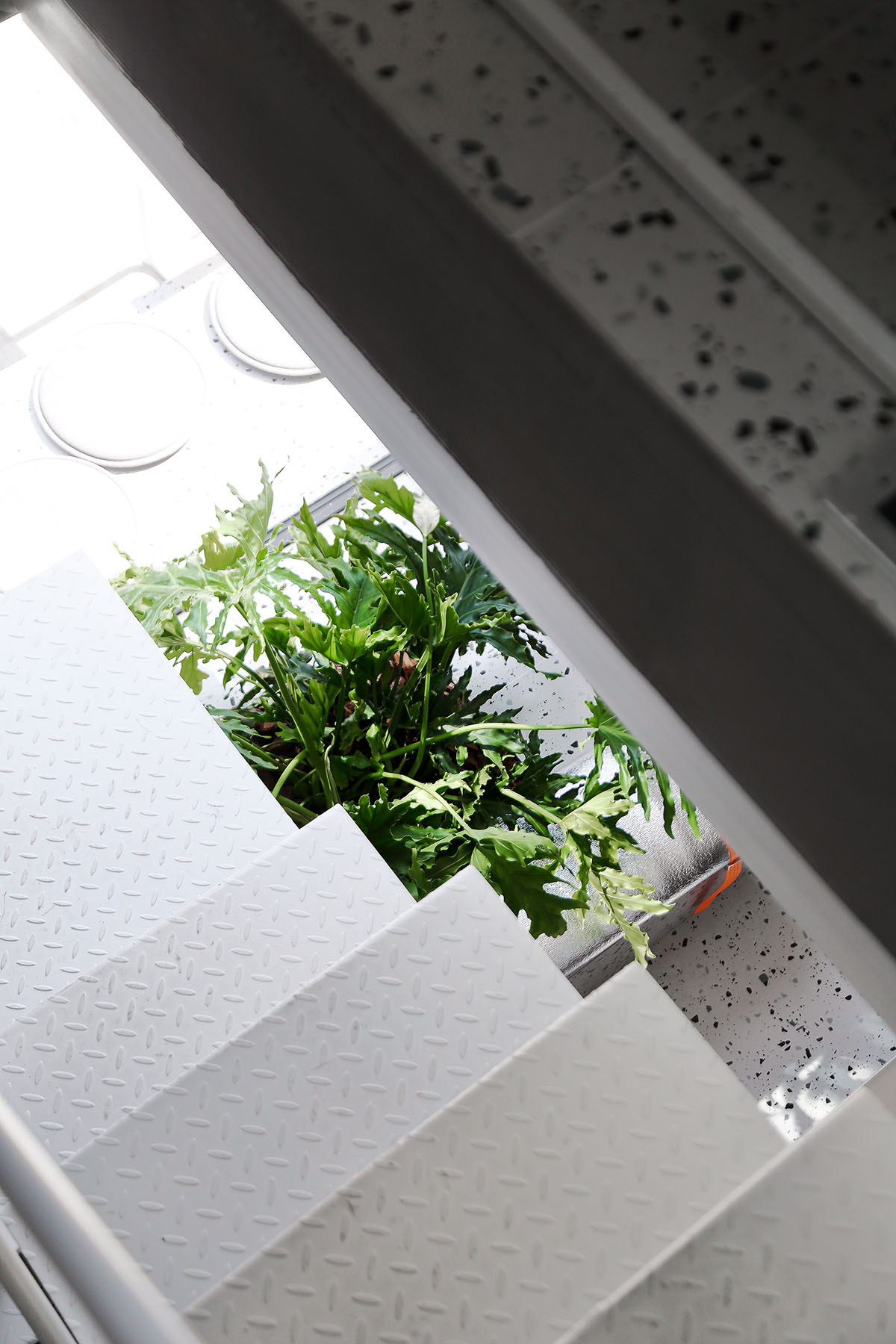 辦公室設計,小型辦公室設計,設計公司辦公室,工業風辦公室,隔層辦公室設計,寧波辦公室設計,複式辦公室設計,離宅半米