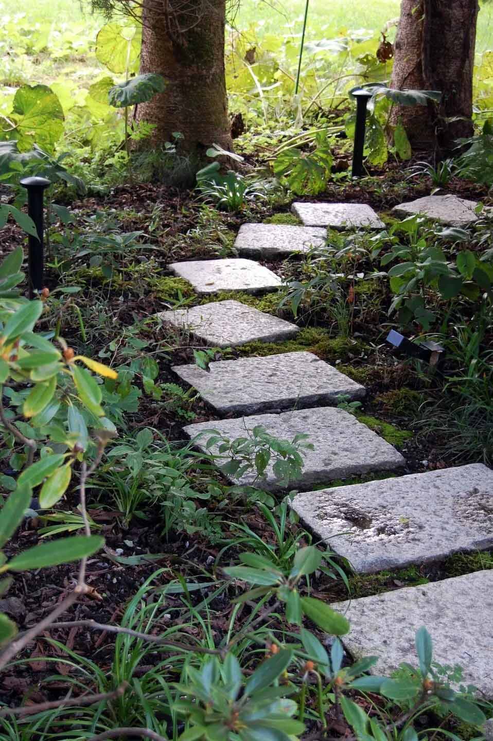 別墅設計,國外別墅設計,別墅設計方案,別墅平麵圖,國外別墅設計,日本別墅設計,別墅案例,Read&architects