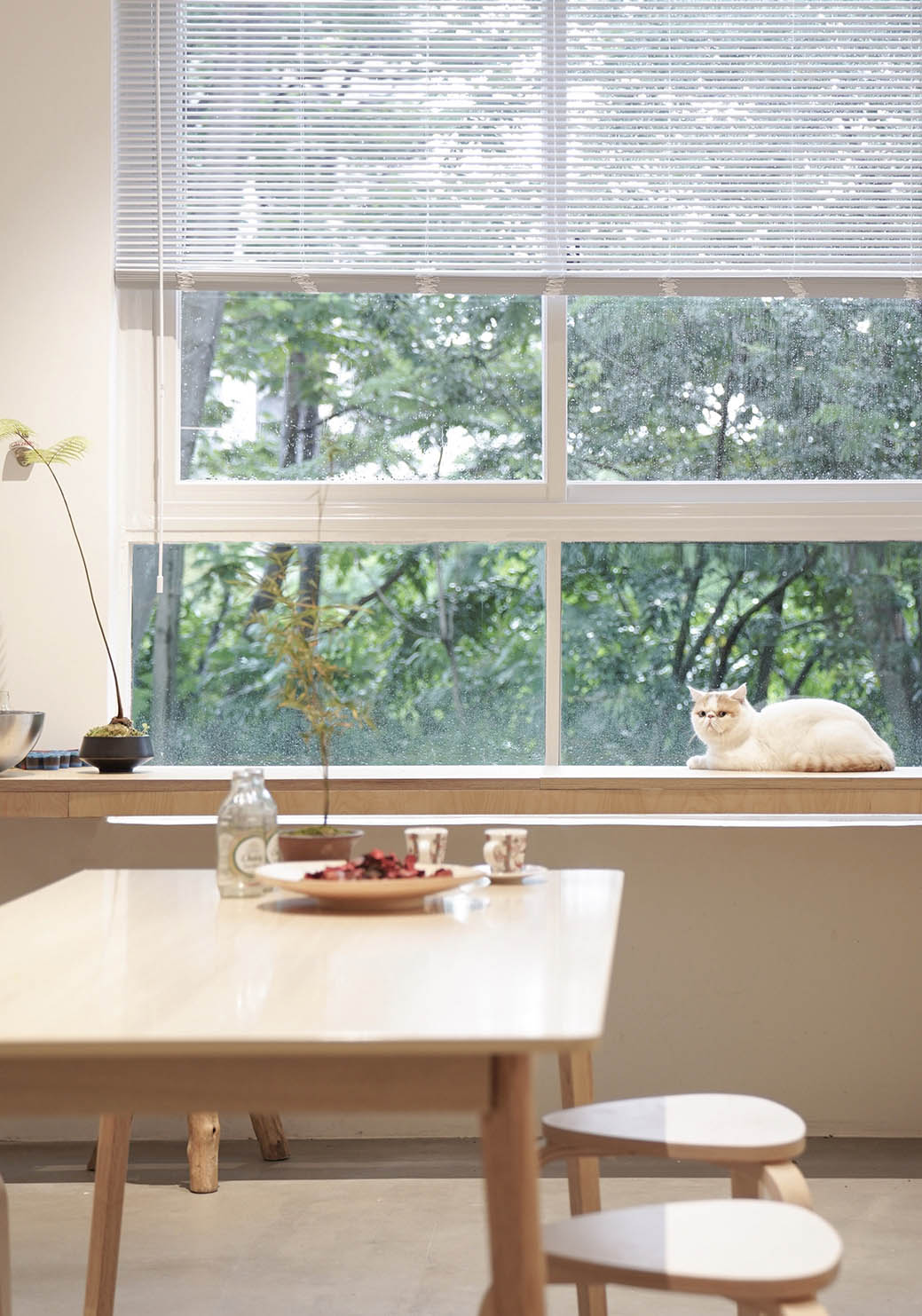 辦公室設計,設計公司辦公室,深圳辦公室設計,海浪創物設計,海浪創物,項目投稿