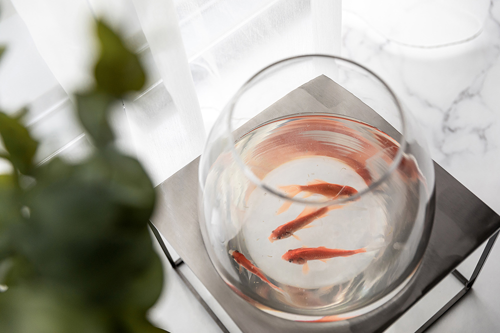 樣板房設計,杭州樣板間設計,杭州樣板房設計,樣板間設計,杭州綠城春月錦廬樣板房,杭州綠城春月錦廬,綠城春月錦廬樣板房,LWMA李瑋瑉,李瑋瑉,項目投稿