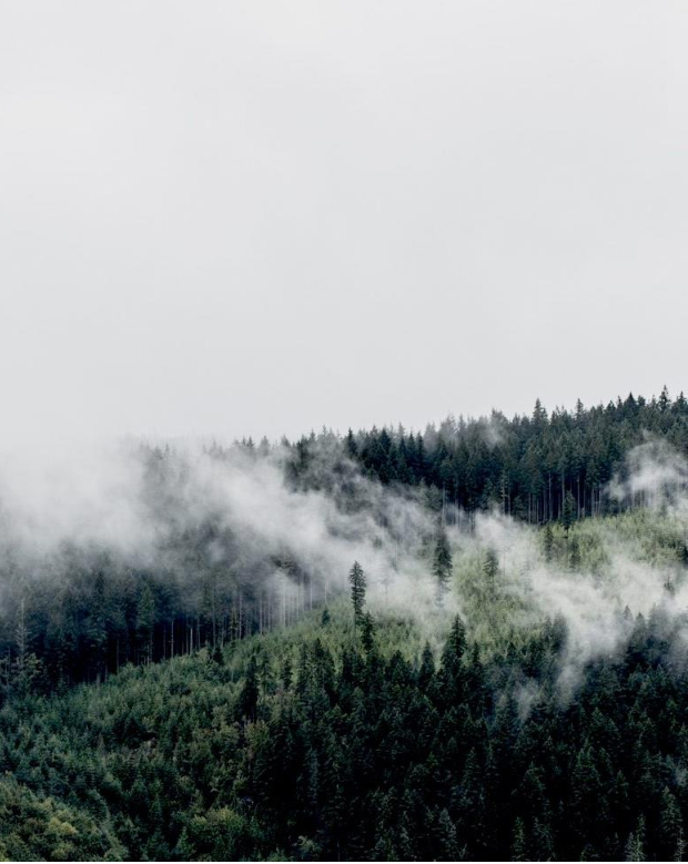 住宅設計,於強住宅設計,深圳住宅設計,深圳香蜜湖後花園,大平層設計,於強室內設計師事務所,於強,YuQiang,YuQiang&Partners,於強設計,項目投稿
