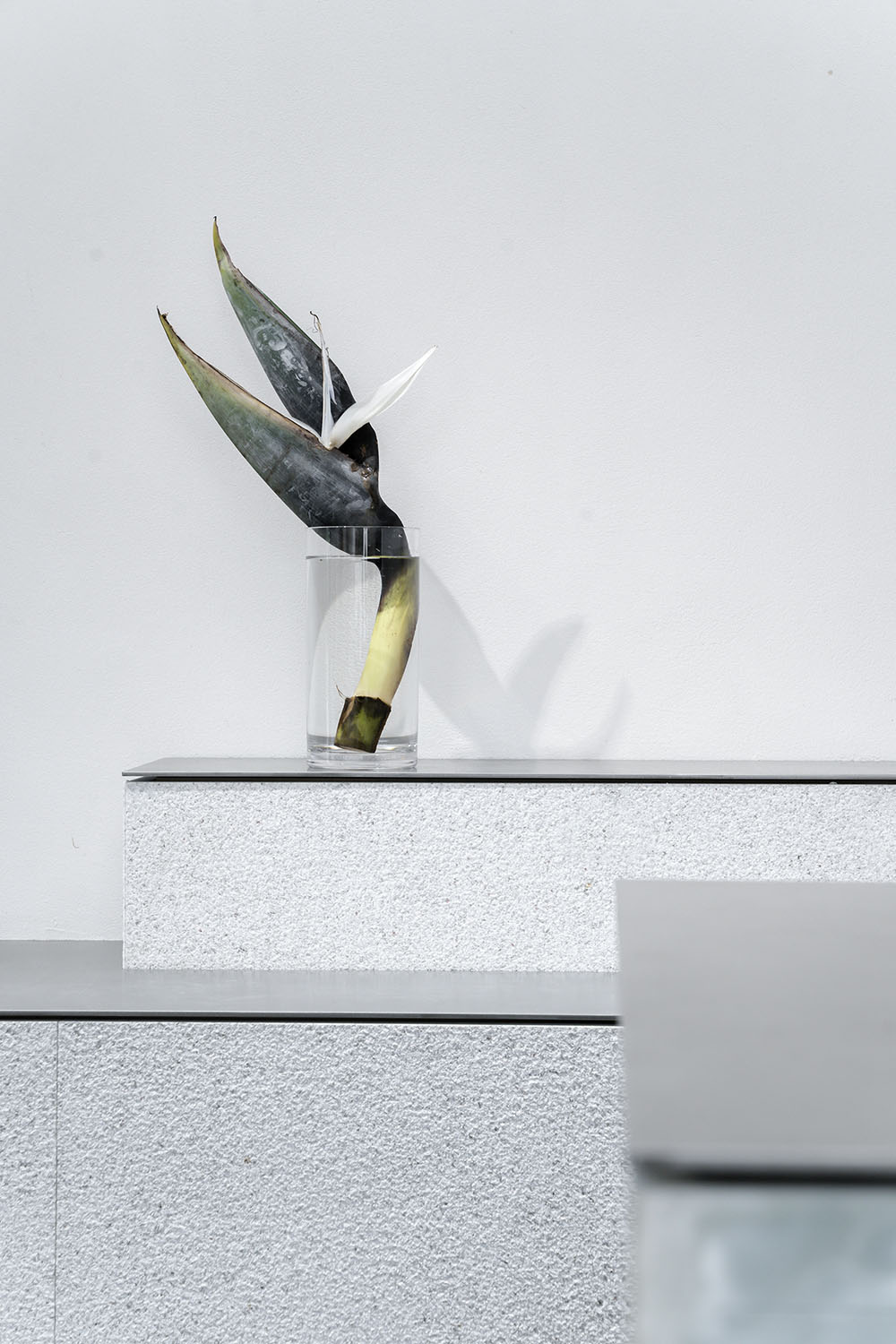 花店設計,花藝店設計,精品花店設計,精品花藝店設計,上海花店設計,Absolute精品花藝店,上海Absolute精品花藝店,Absolute Flower Shop,上海Absolute Flower Shop,木君建築,木君建築設計,項目投稿