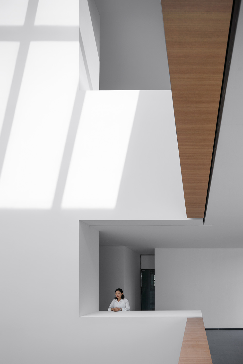 杜茲設計,圖書館設計,校園圖書館設計,大學圖書館設計,南京圖書館設計,南京校園圖書館,南師大圖書館,南京師範大學圖書館,項目投稿